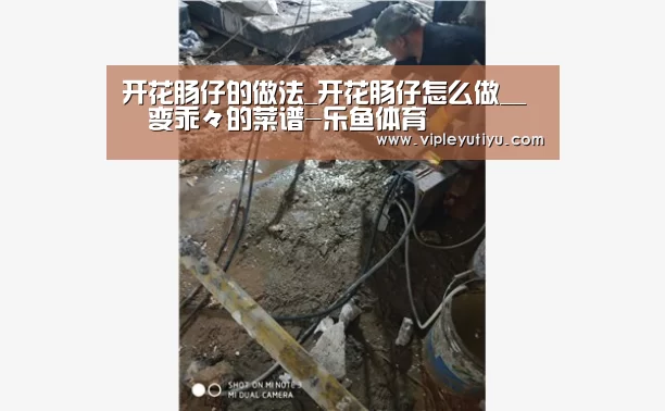 开花肠仔的做法_开花肠仔怎么做__蒍鉨变乖々的菜谱-乐鱼体育(图2)